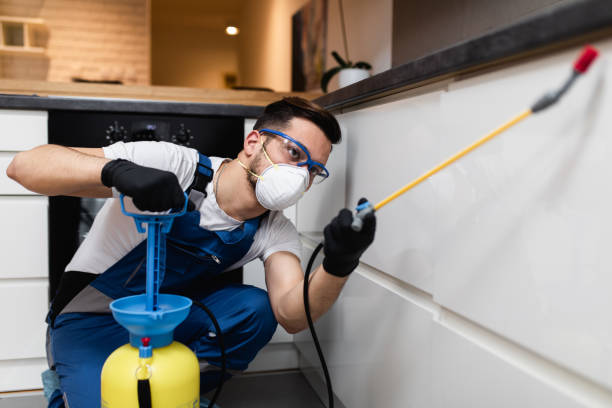 Best Cockroach Control Services  in Midway, AR