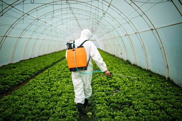 Reliable Midway, AR Pest Control Solutions
