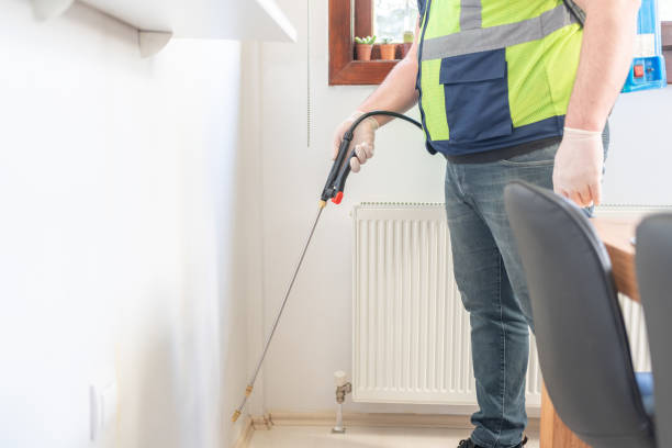 Best Termite Control Services  in Midway, AR