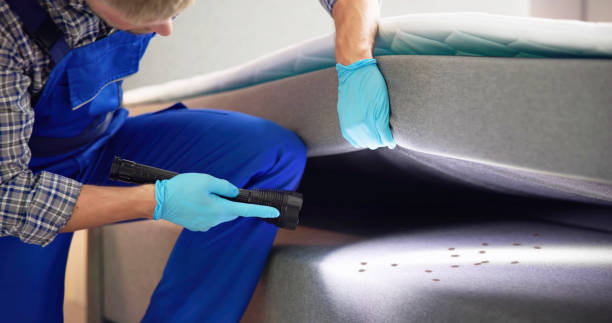 Best Affordable Pest Control Services  in Midway, AR