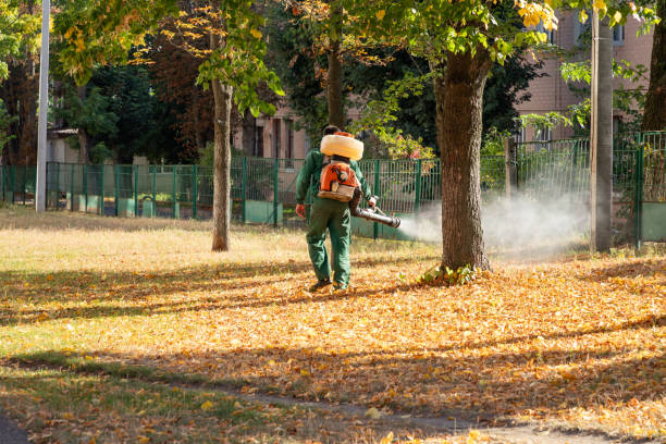 Best Wildlife Control Services  in Midway, AR