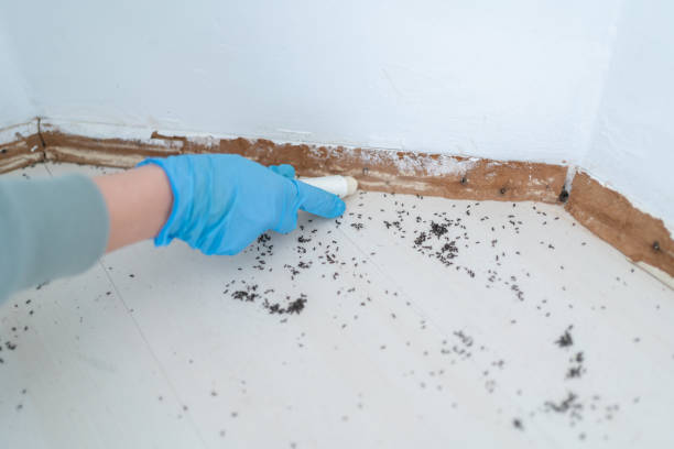 Best Best Pest Control Companies  in Midway, AR