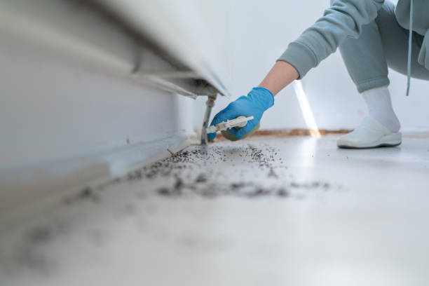 Best Affordable Pest Control Services  in Midway, AR